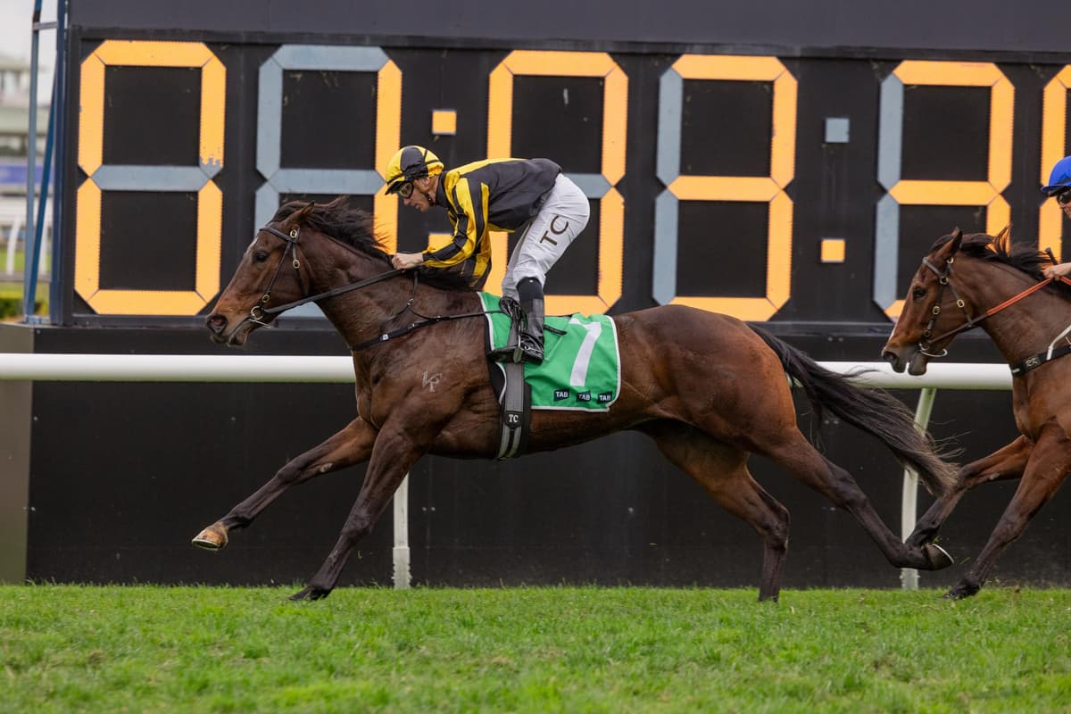 Chilly Girl impresses in comeback win in The Rosebud