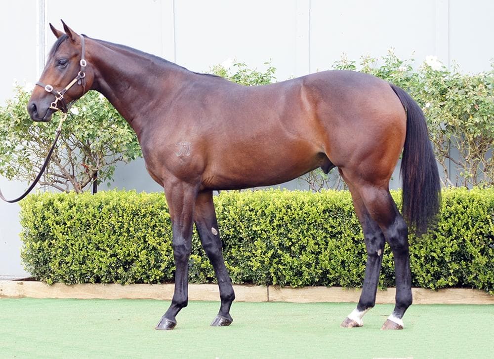  D'argento x Read My Stars