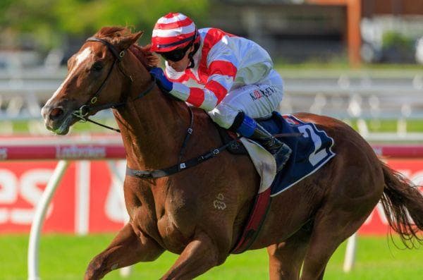 Skyhook Wins G3 Gunsynd Classic 
