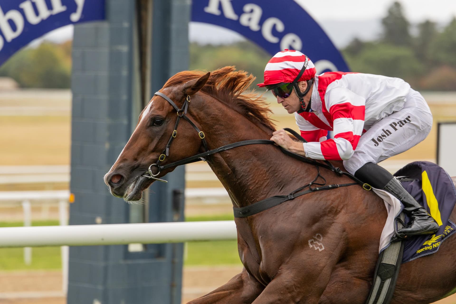 G1 Stradbroke Dreaming - Skyhook Wins G3 Hawkesbury Guineas