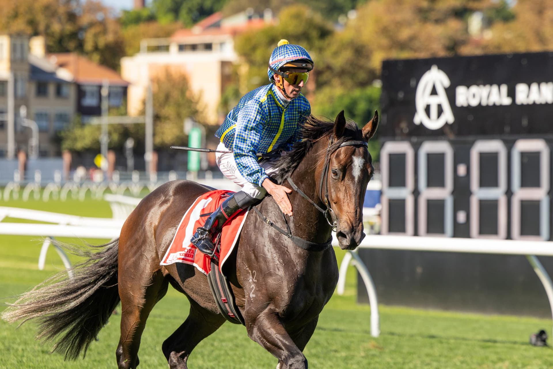 Matais G3 Victory