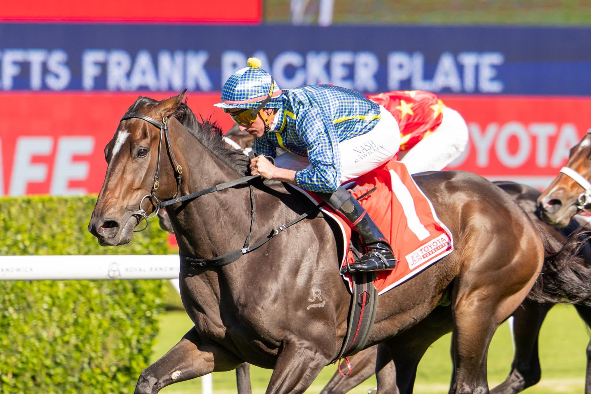 Matias impressive in Frank Packer Plate, Making it a double Group 3 wins for the Team
