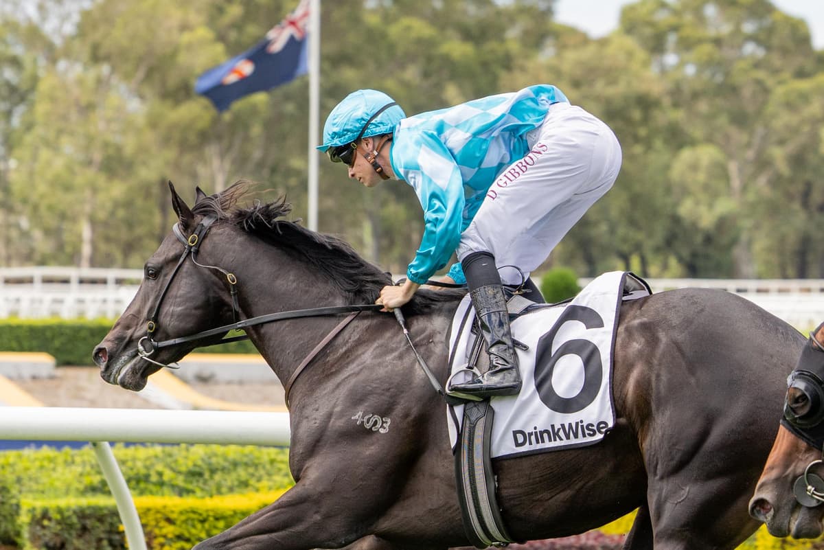 Palace Pier Colt Southend Remains Unbeaten With G3 Baillieu Success