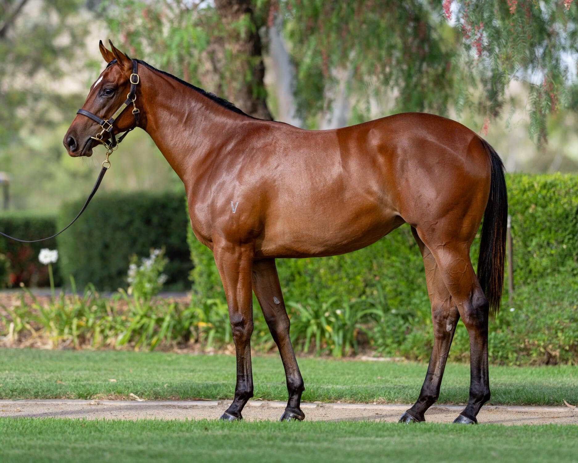 Exceedance x True Quality