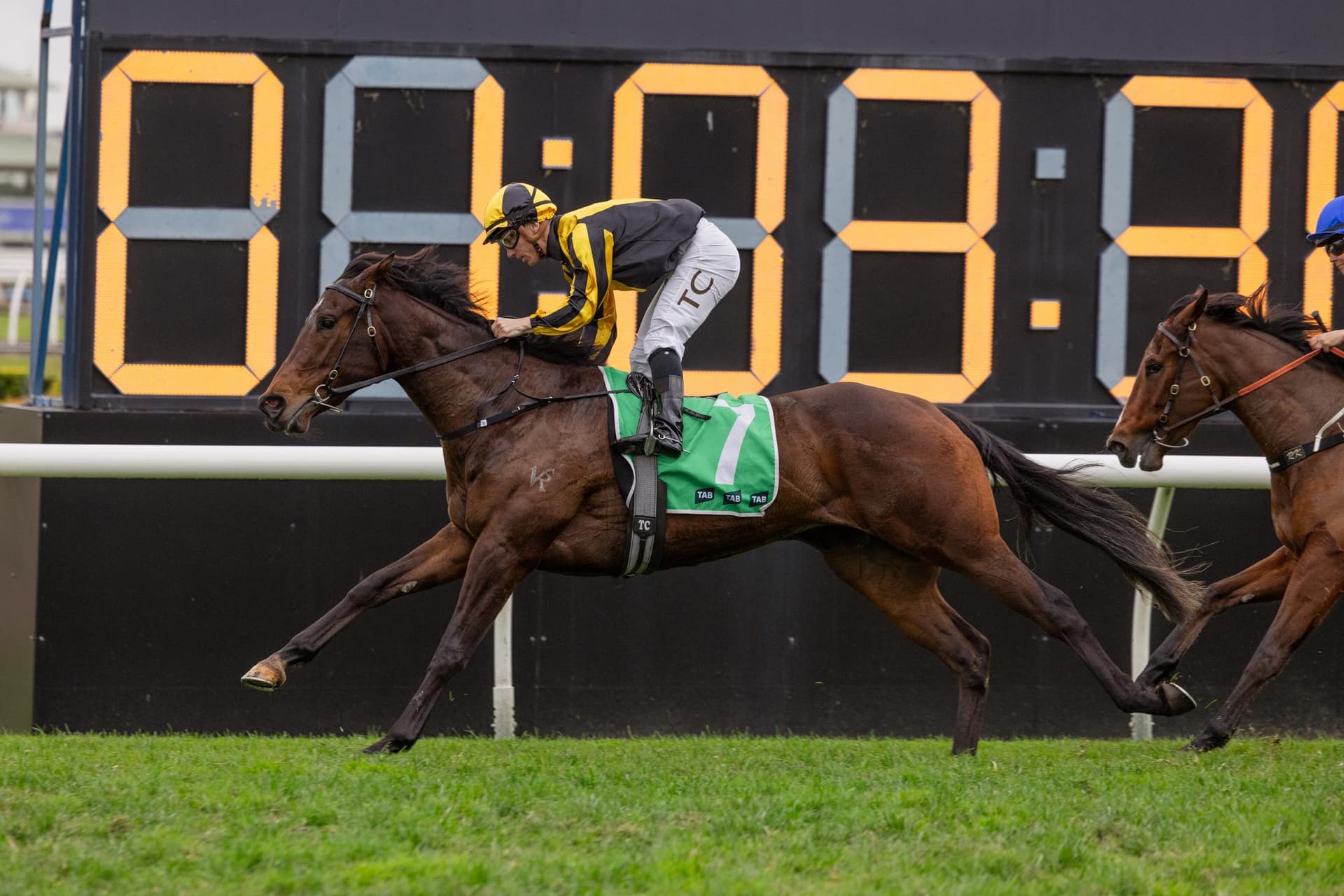 Chilly Girl impresses in comeback win in The Rosebud
