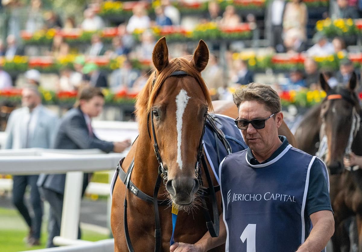 Just Party ends 19-month drought to land Goulburn Cup and Big Dance spot