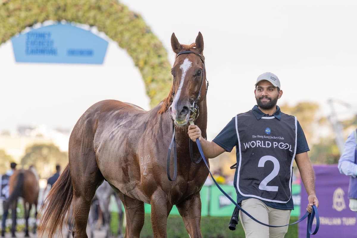 Skyhook Strengthens 2026 Golden Eagle Claims with Dominant Shannon Stakes Victory